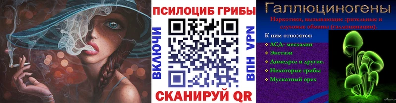 купить закладку  Белый  Псилоцибиновые грибы Psilocybine cubensis 